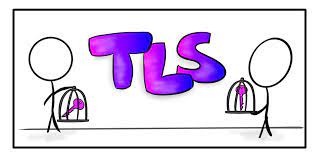 How are the TLS and SSL certificates essential? Four reasons