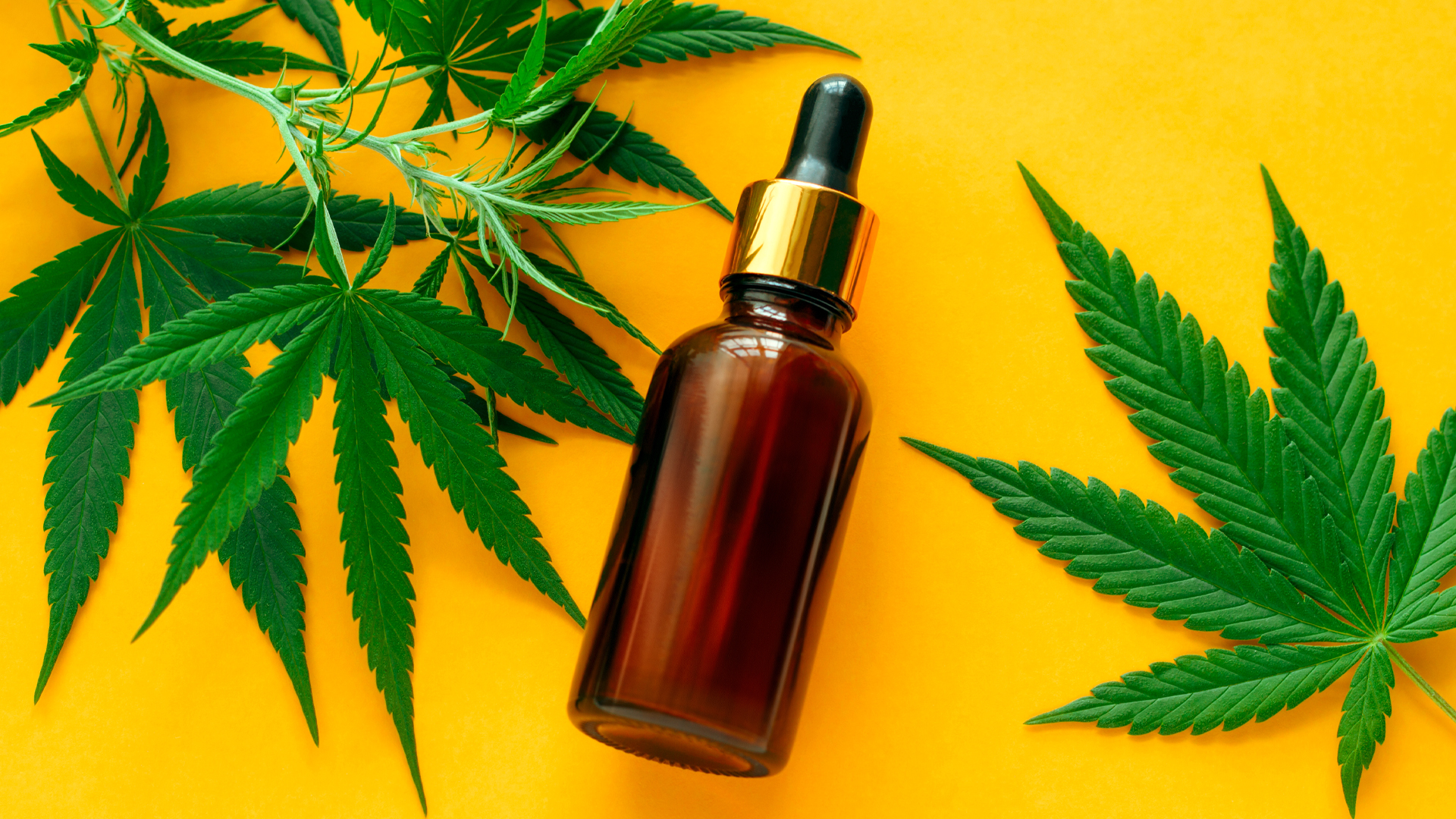 What are the benefits of buying CBD oil online