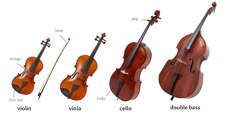 The Subtle Art of Violinists vs Violia Players